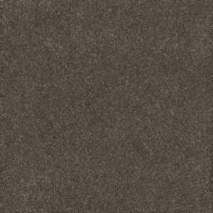Dreamweaver Carpet Gold Standard III Ingot Carpet 4066_2801