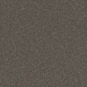 Dreamweaver Carpet Gold Standard III Topaz Carpet 4066_2819