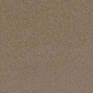 Dreamweaver Carpet First Step Sable Carpet 4160_510