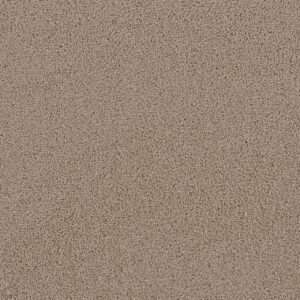 Dreamweaver Carpet First Step Doeskin Carpet 4160_530