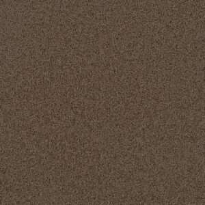 Dreamweaver Carpet First Step Barnwood Carpet 4160_550