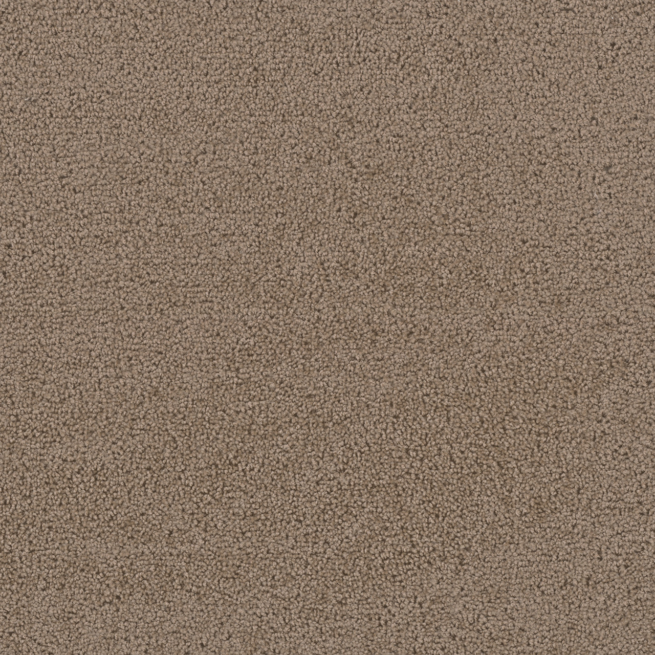 Dreamweaver Carpet First Step Balsam Carpet 4160_565