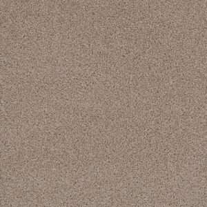 Dreamweaver Carpet First Step Biscotti Carpet 4160_642