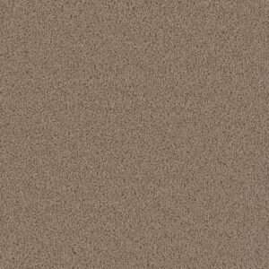 Dreamweaver Carpet First Step Sawgrass Carpet 4160_701