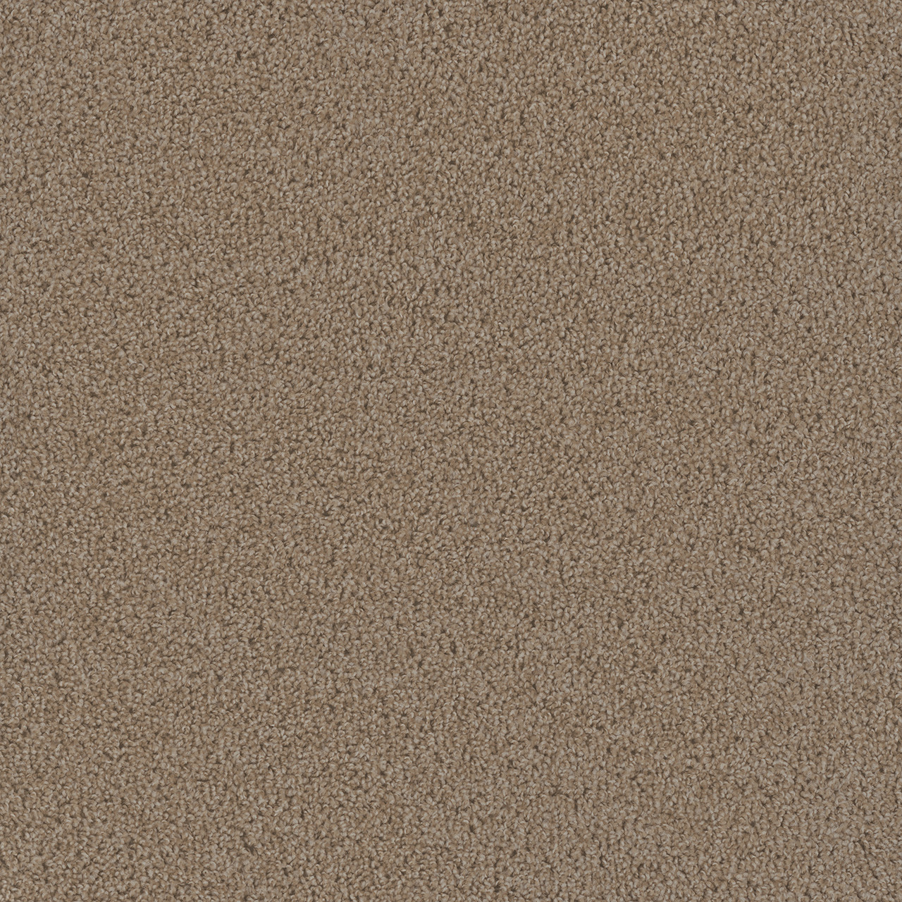 Dreamweaver Carpet First Step Sawgrass Carpet 4160_701
