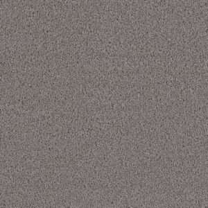 Dreamweaver Carpet First Step Dove Carpet 4160_800