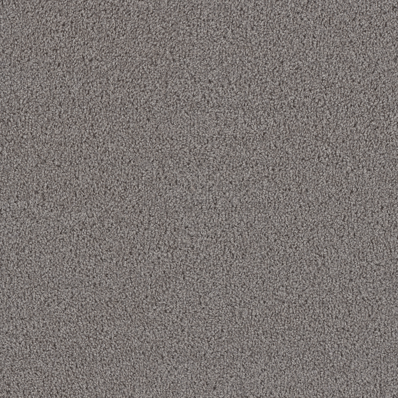 Dreamweaver Carpet First Step Dove Carpet 4160_800