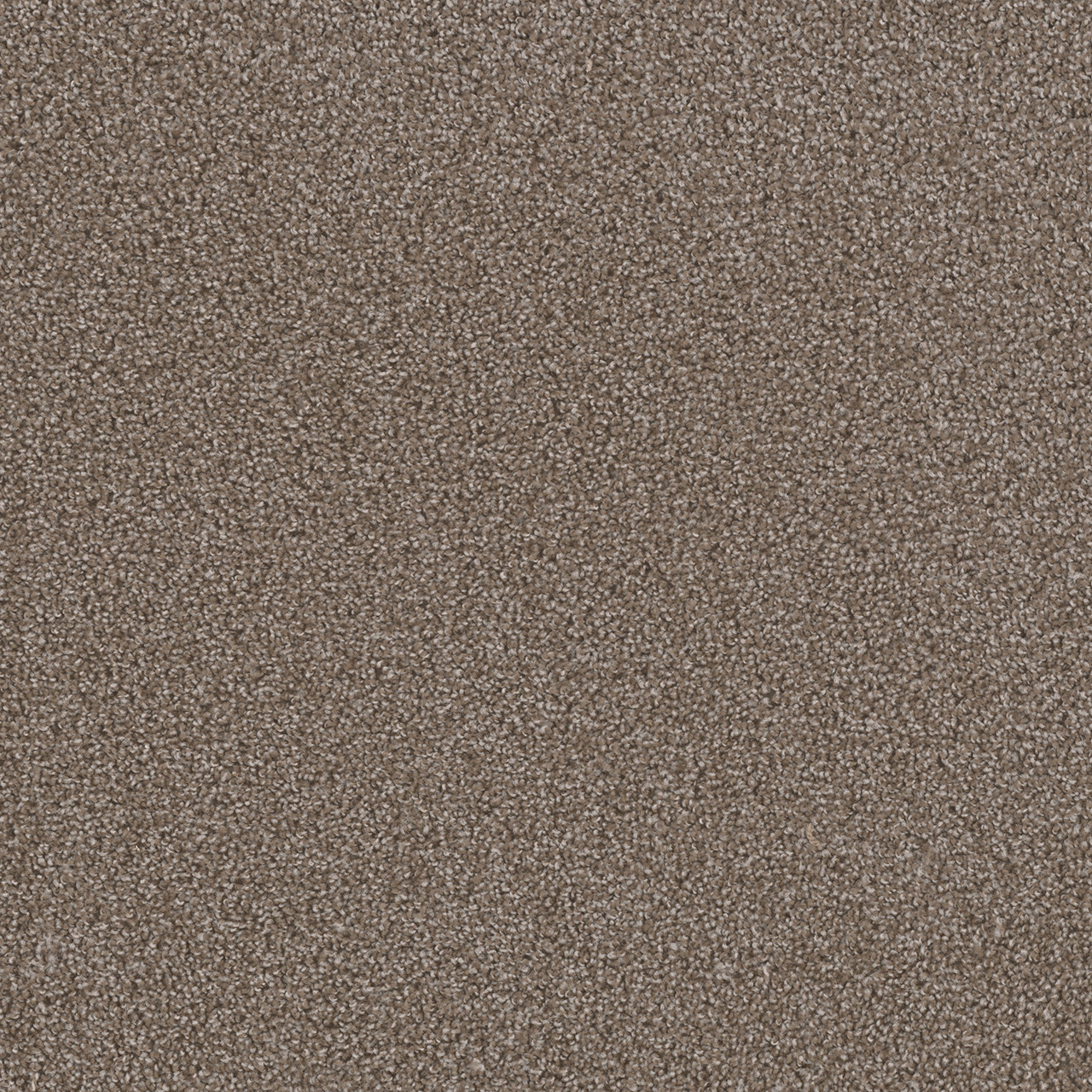 Dreamweaver Carpet First Step Silvery Carpet 4160_829