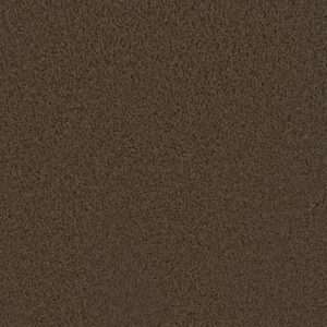 Dreamweaver Carpet First Step Castle Carpet 4160_945