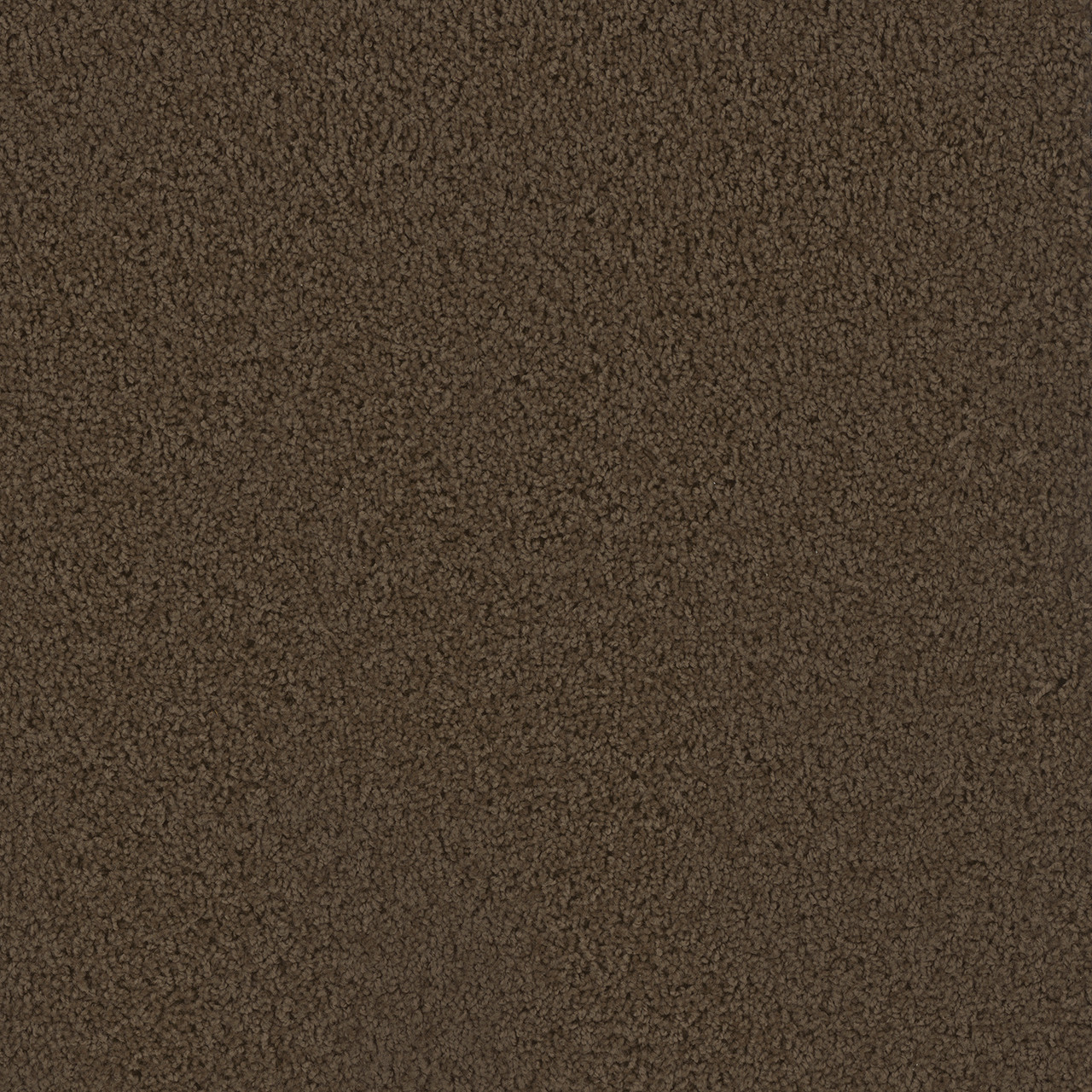 Dreamweaver Carpet First Step Castle Carpet 4160_945