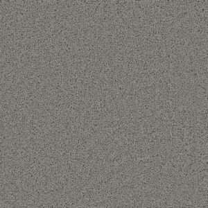 Dreamweaver Carpet First Step Bayside Carpet 4160_956