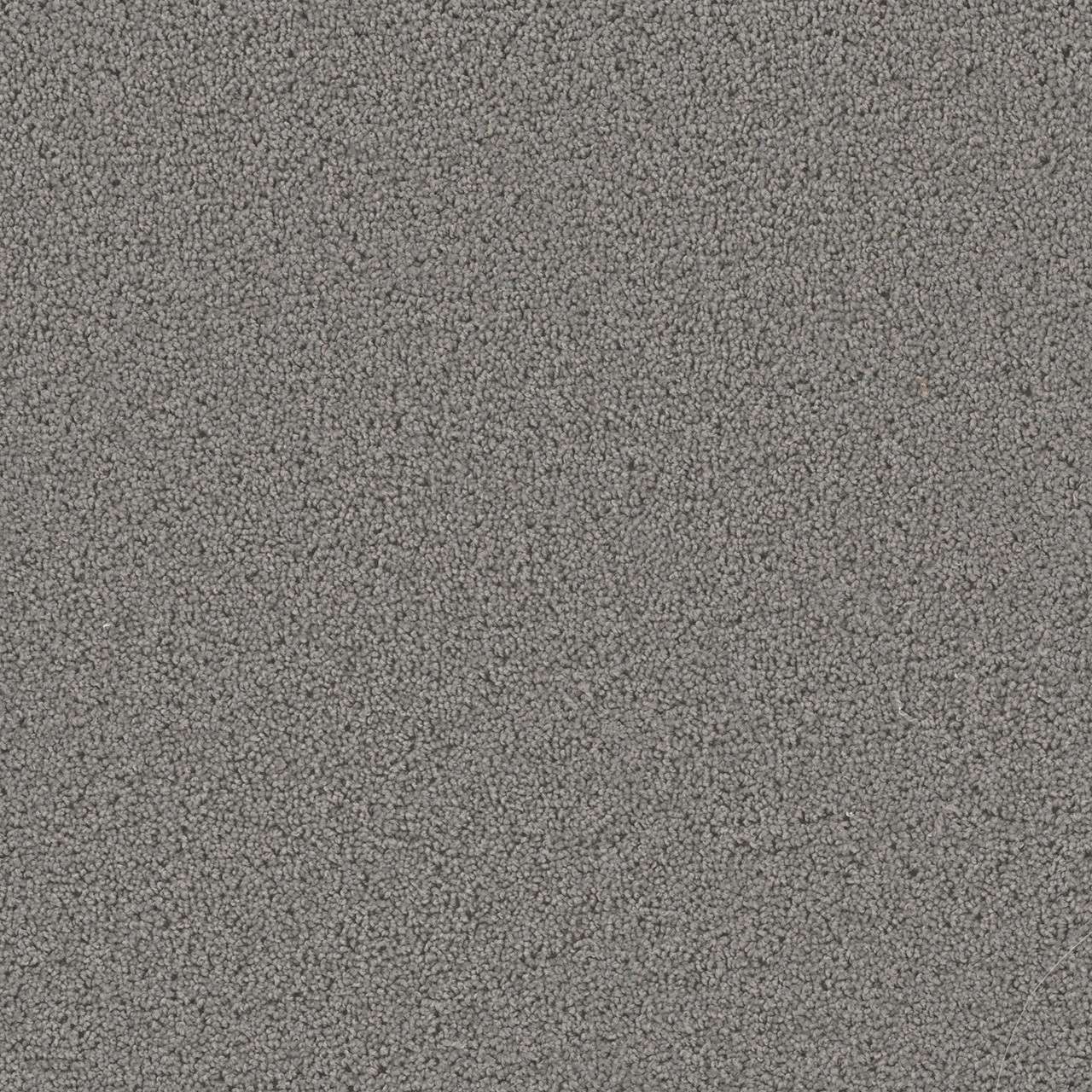 Dreamweaver Carpet First Step Bayside Carpet 4160_956