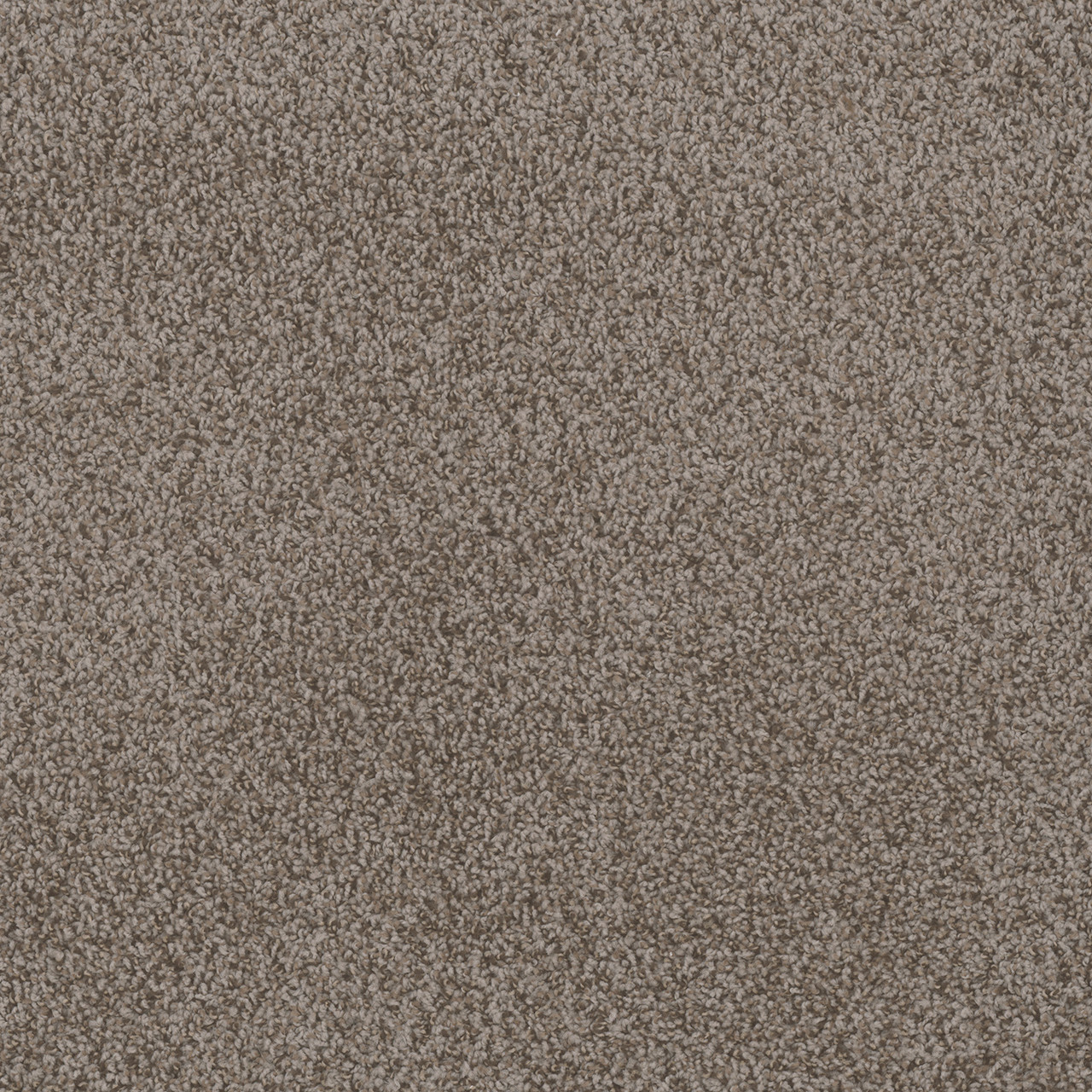 Dreamweaver Carpet Step Two Dusky Carpet 4162_450