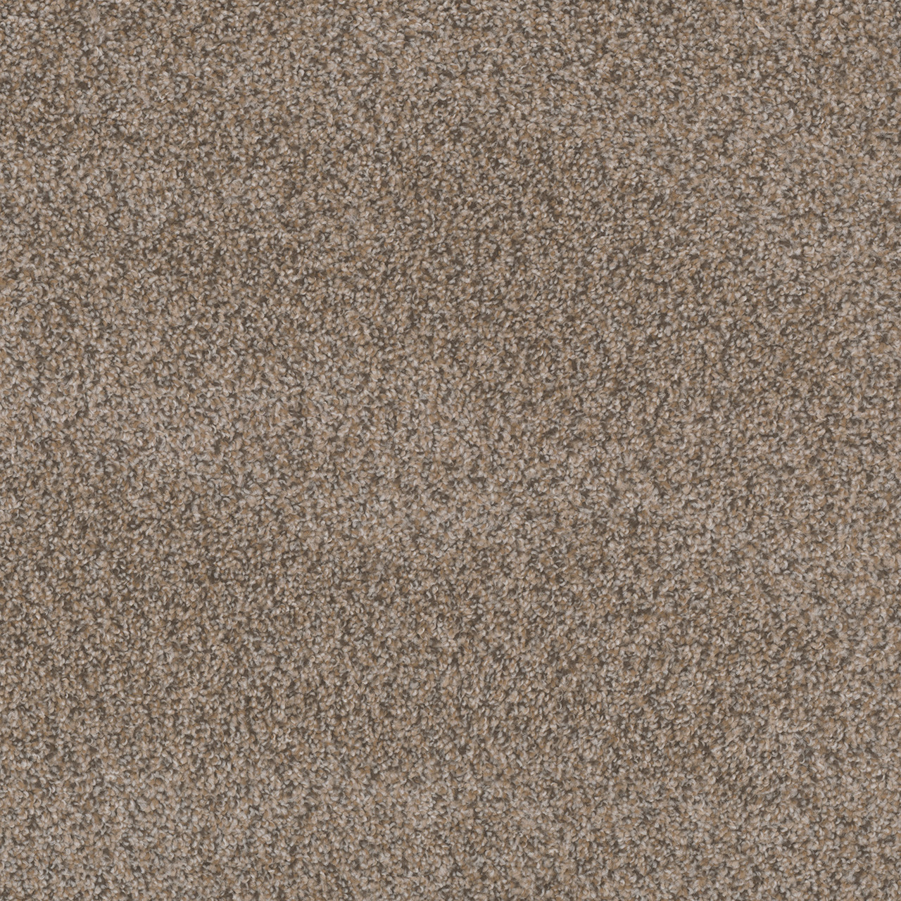 Dreamweaver Carpet Step Two Locket Carpet 4162_454