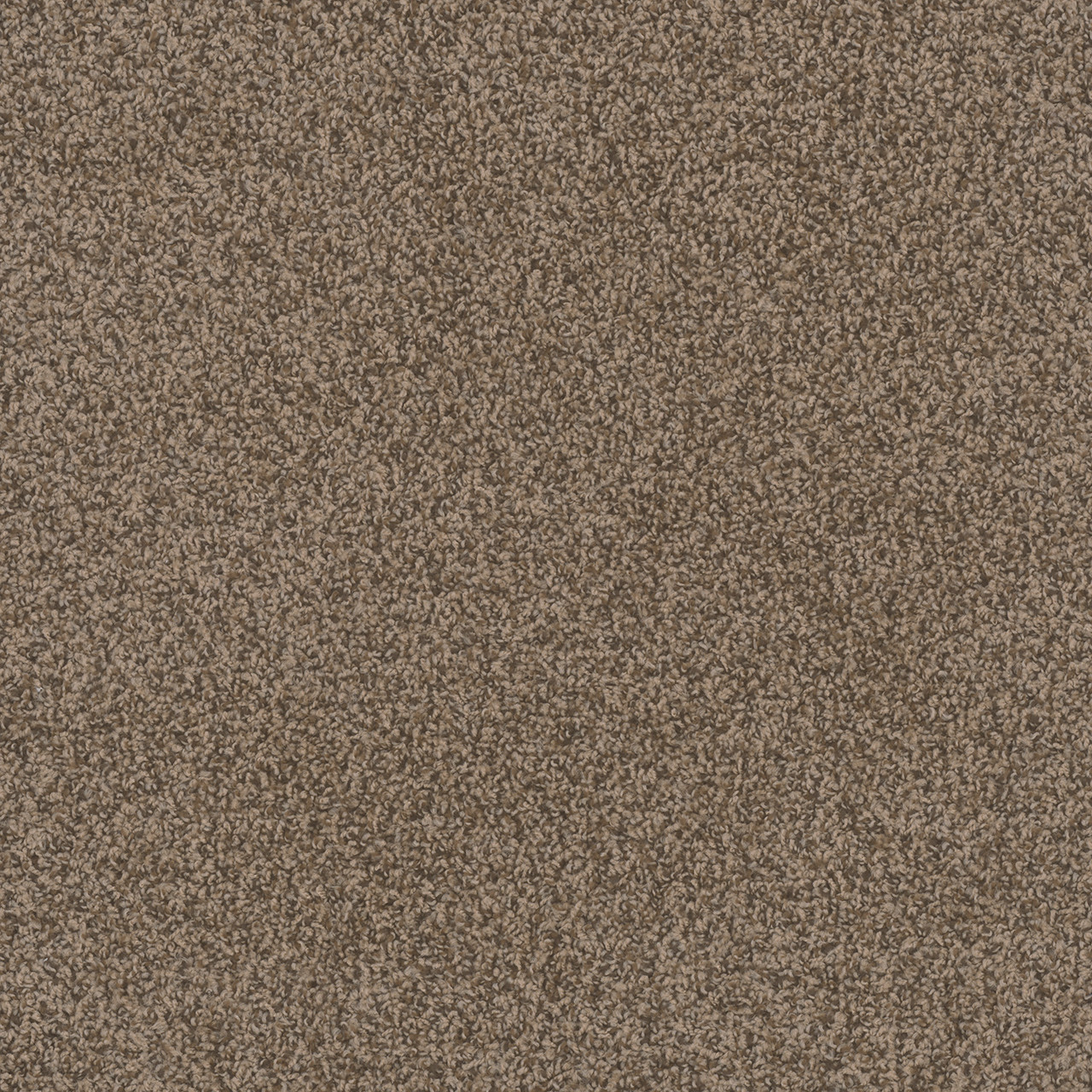 Dreamweaver Carpet Step Two Agate Carpet 4162_512