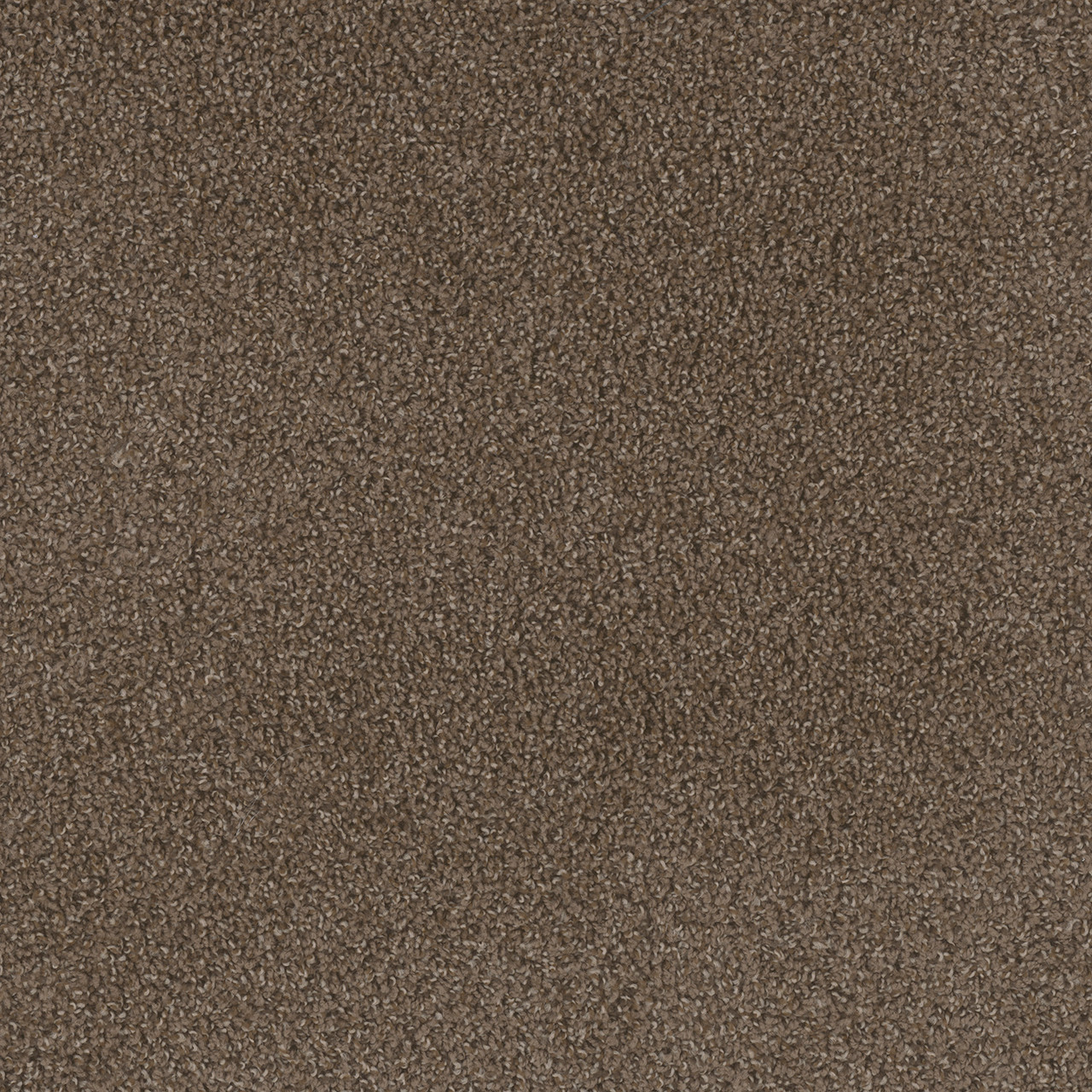 Dreamweaver Carpet Step Two Boulder Carpet 4162_552