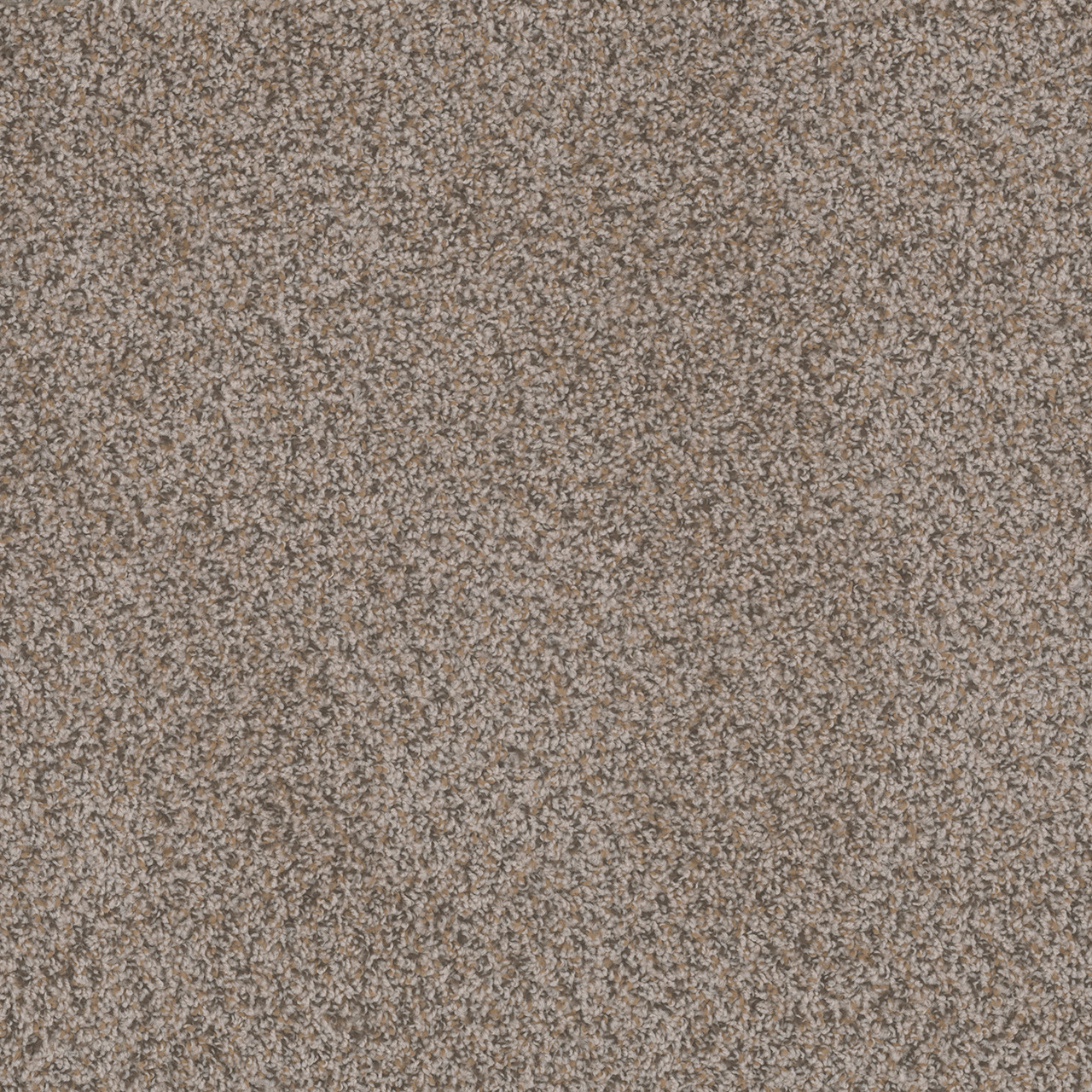 Dreamweaver Carpet Step Two Parchment Carpet 4162_724