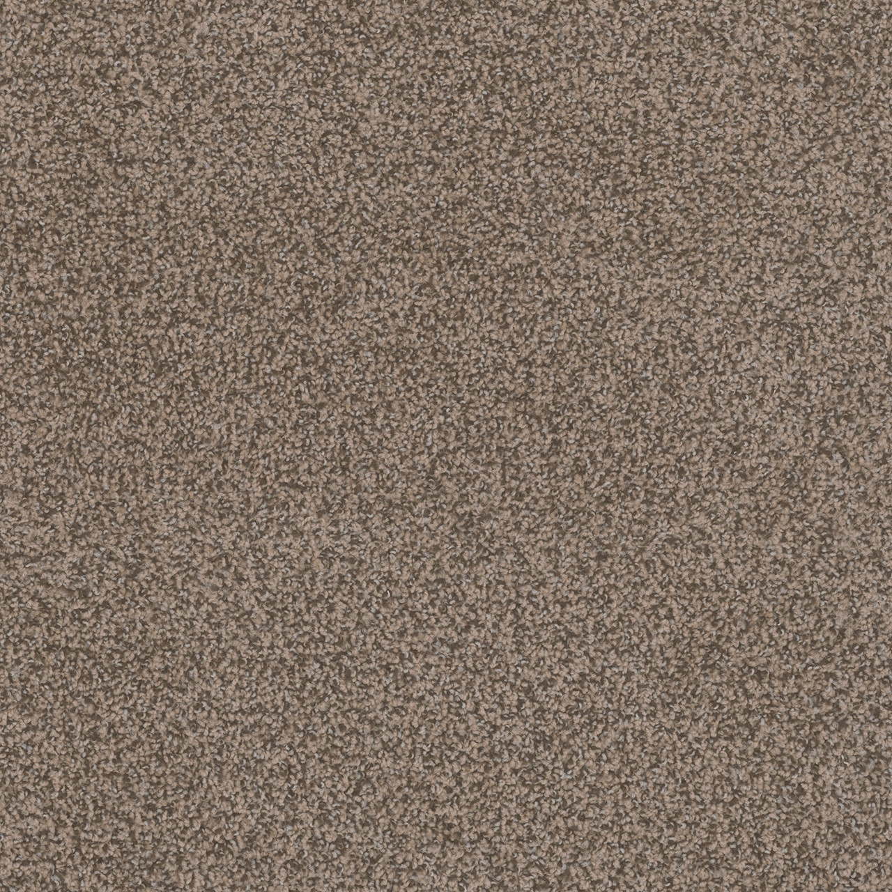 Dreamweaver Carpet Step Two Fawn Carpet 4162_767