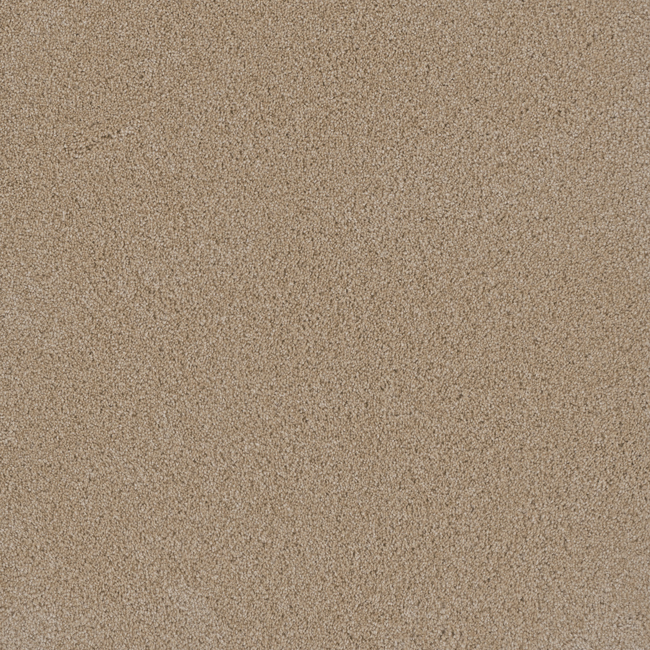 Dreamweaver Carpet Lavish II Blush Carpet 4265_735