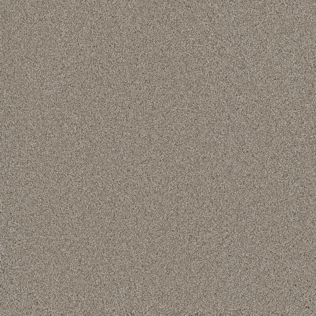 Dreamweaver Carpet Lavish II Parchment Carpet 4265_744