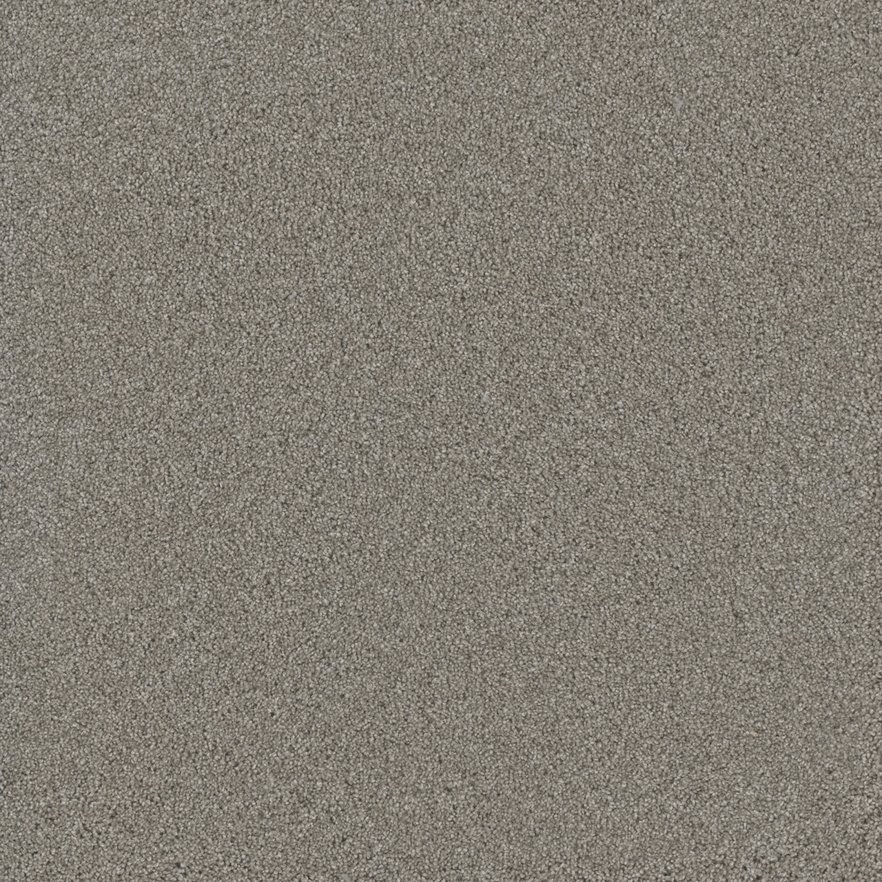 Dreamweaver Carpet Lavish II Dove Carpet 4265_800