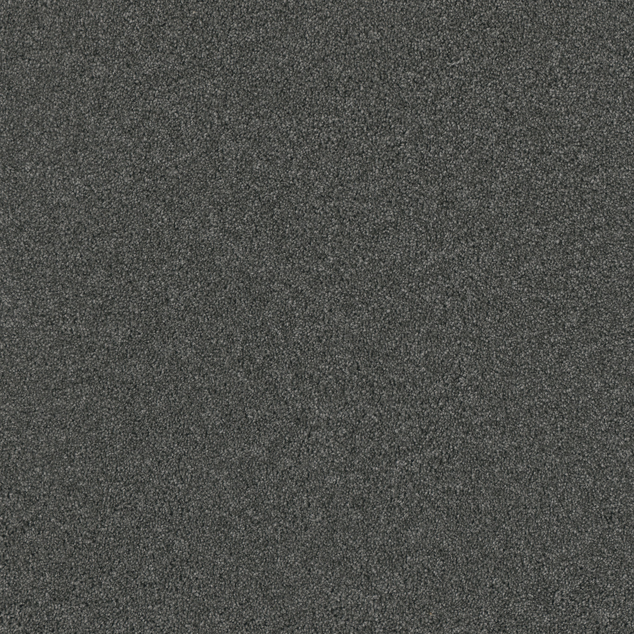 Dreamweaver Carpet Lavish II Pewter Carpet 4265_890
