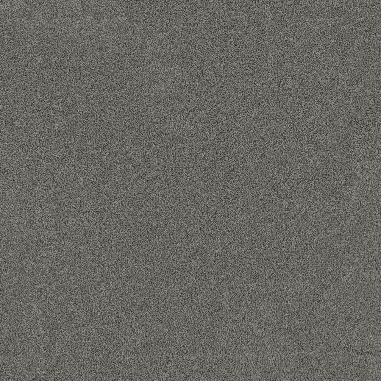 Dreamweaver Carpet Lavish II Smoke Carpet 4265_920