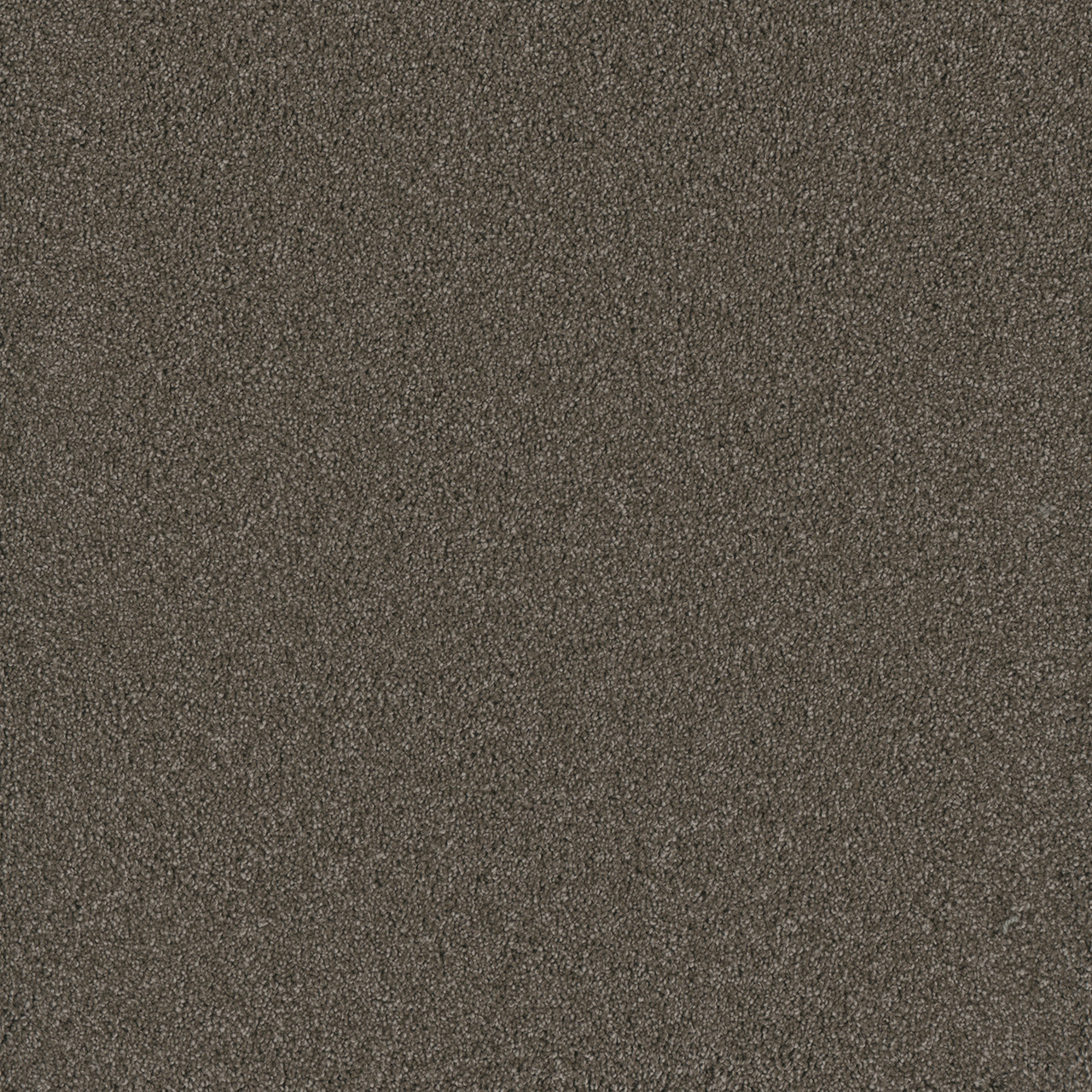 Dreamweaver Carpet Lavish II Riverbed Carpet 4265_955