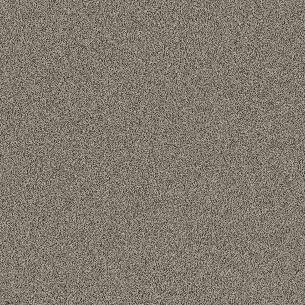 Dreamweaver Carpet Lavish II Stonebriar Carpet 4265_992