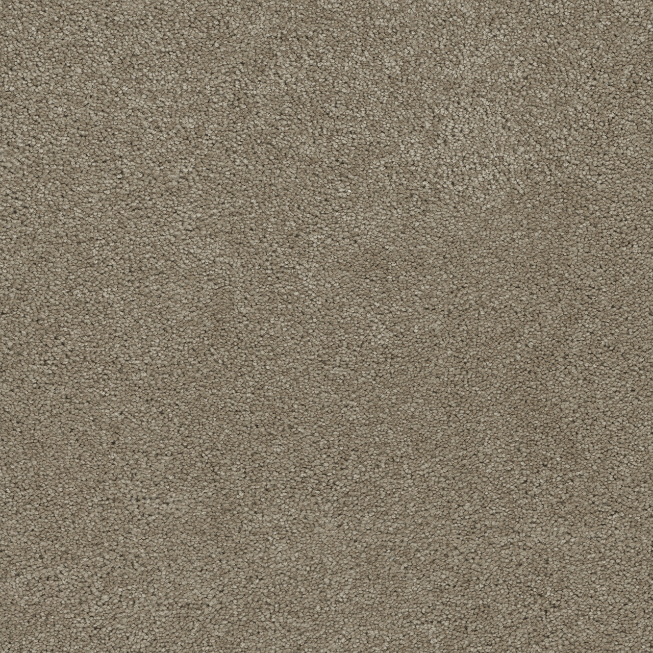 Dreamweaver Carpet Rock Solid III Cashew Carpet 4365_530