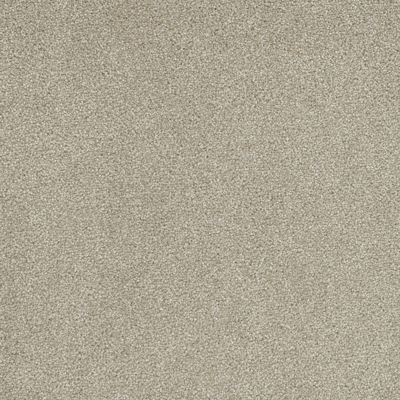 Dreamweaver Carpet Rock Solid II Cream Carpet 4355_580