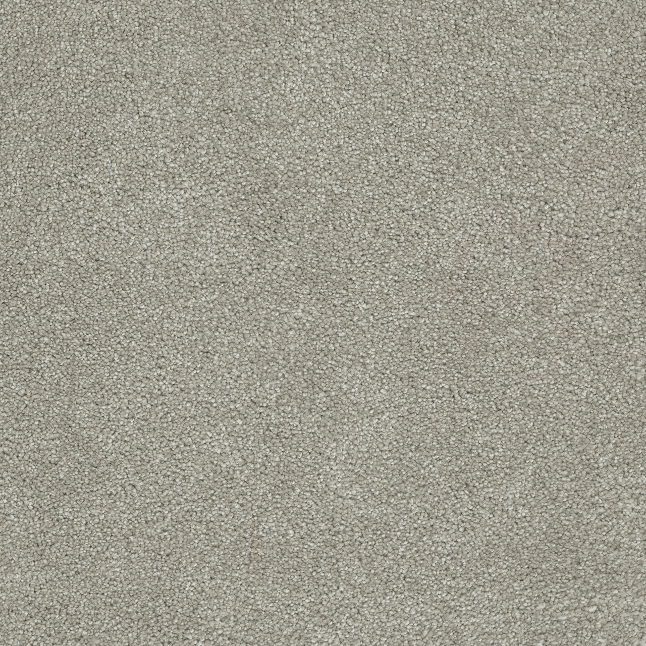 Dreamweaver Carpet Rock Solid II Silver Lining Carpet 4355_830