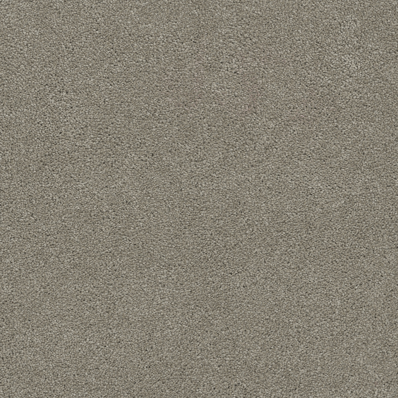 Dreamweaver Carpet Rock Solid II Soft Leather Carpet 4355_861