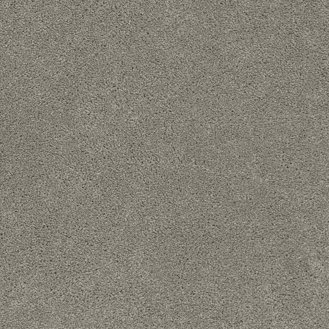 Dreamweaver Carpet Rock Solid II Ash Carpet 4355_945