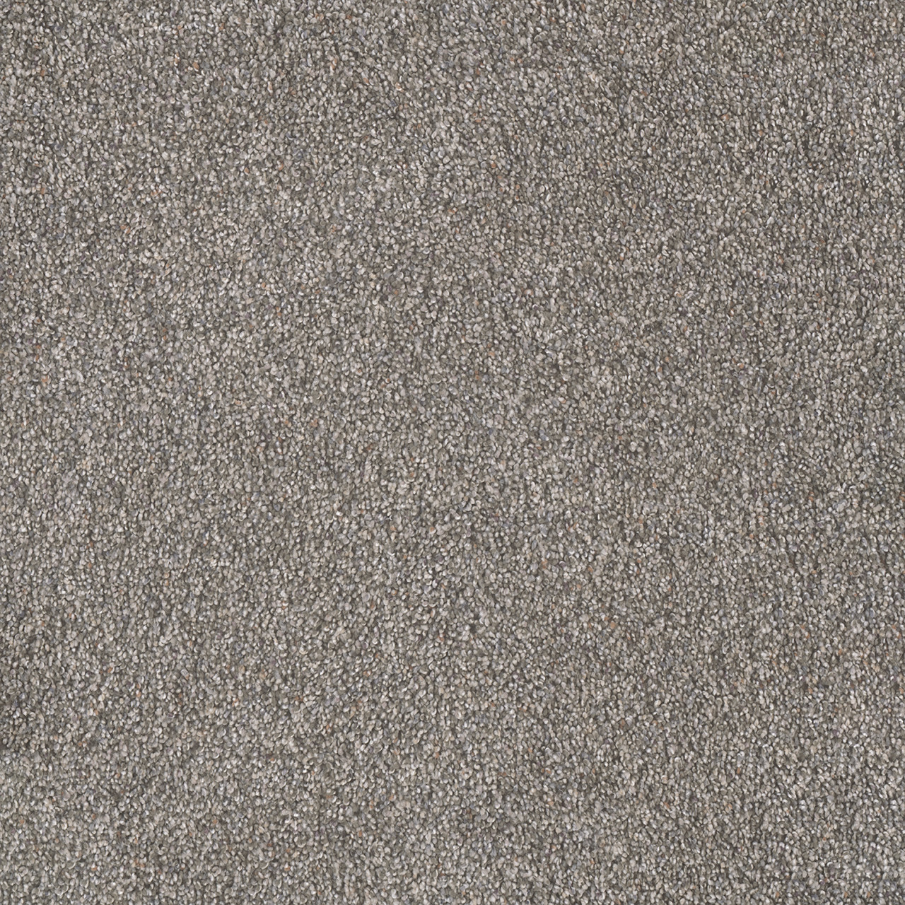 Dreamweaver Carpet Rustic Retreat II Laurel Carpet 4455_4134
