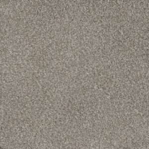 Dreamweaver Carpet Mill Creek I Crystal Pearl Carpet 4730_2019