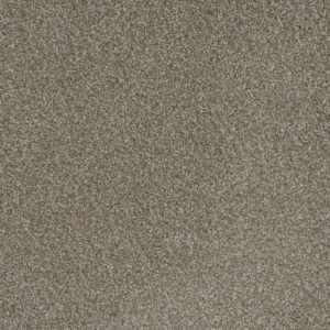Dreamweaver Carpet Mill Creek I Polished Pebble Carpet 4730_2023