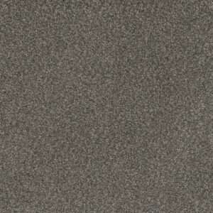 Dreamweaver Carpet Mill Creek I Warm Pine Carpet 4730_2062