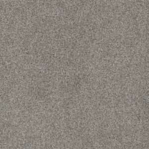 Dreamweaver Carpet Mill Creek I Off Shore Carpet 4730_4017