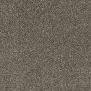 Dreamweaver Carpet Mill Creek I Lucky Penny Carpet 4730_4026