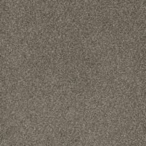 Dreamweaver Carpet Mill Creek I Matrix Carpet 4730_4029