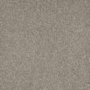 Dreamweaver Carpet Mill Creek I Baby's Breath Carpet 4730_4035