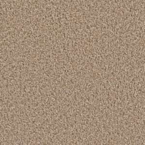 Dreamweaver Carpet Can'T Miss Straw Carpet 4748_551
