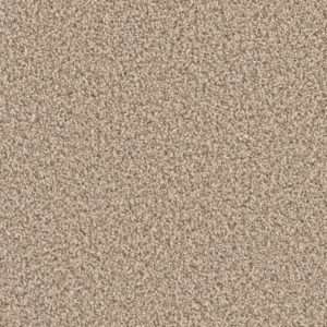 Dreamweaver Carpet Can'T Miss Oxford Carpet 4748_720