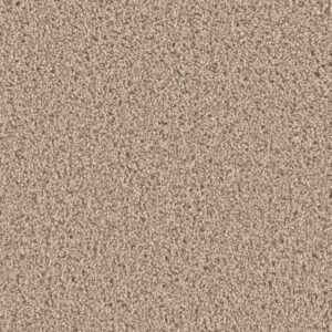 Dreamweaver Carpet Can'T Miss Ginger Carpet 4748_726