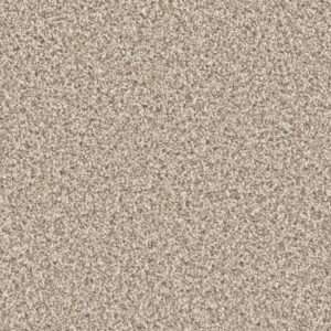Dreamweaver Carpet Can'T Miss Seashells Carpet 4748_758