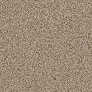 Dreamweaver Carpet Can'T Miss Mocha Carpet 4748_775