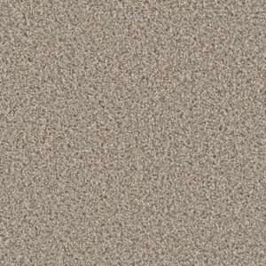 Dreamweaver Carpet Can'T Miss Iron Frost Carpet 4748_815