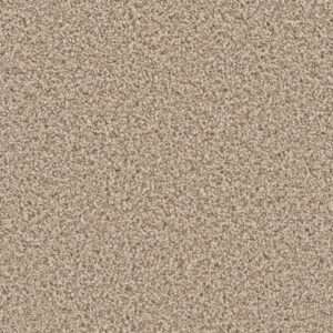 Dreamweaver Carpet Can'T Miss Linen Carpet 4748_824