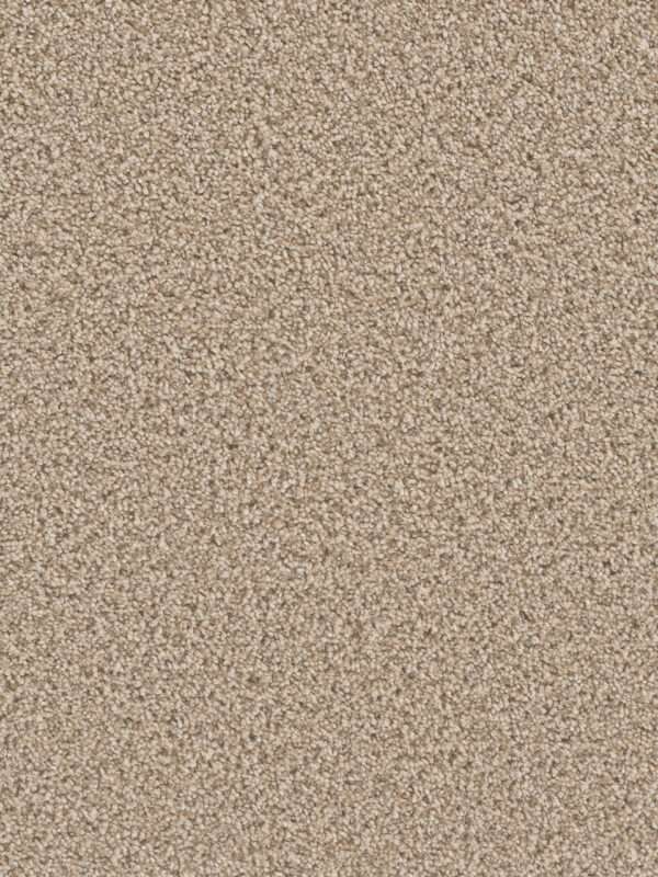 Dreamweaver Carpet Can'T Miss Linen Carpet 4748_824